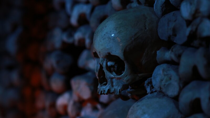 Human Skull in Ossuary — Blue