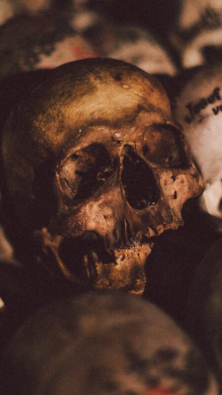 Human Skull in Ossuary — Brown