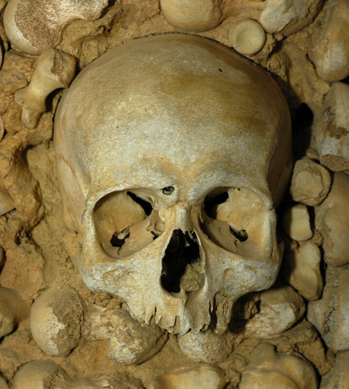 Human skull in ossuary