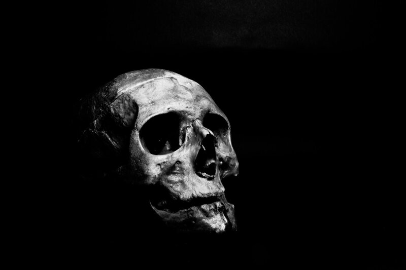 Human Skull in Profile — Black, Dramatic