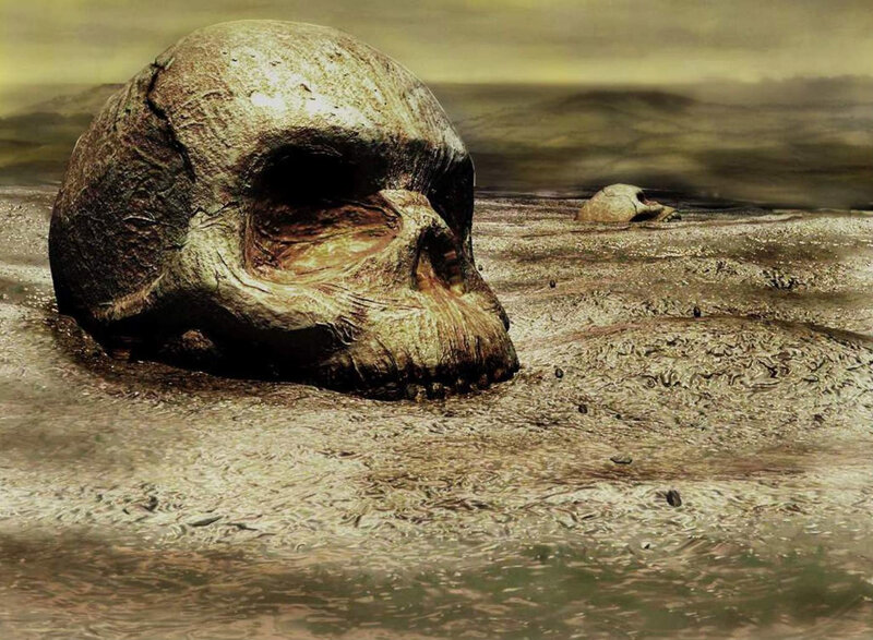 Human Skull in Sand
