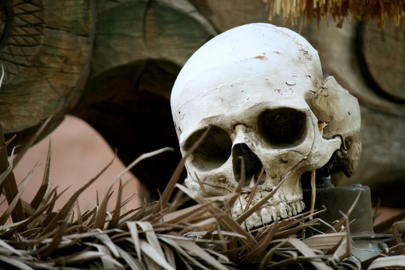 Human Skull in Straw
