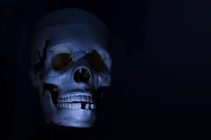Human Skull Model — Black, Dramatic