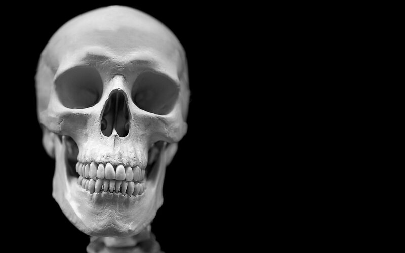 Human Skull Model — Black