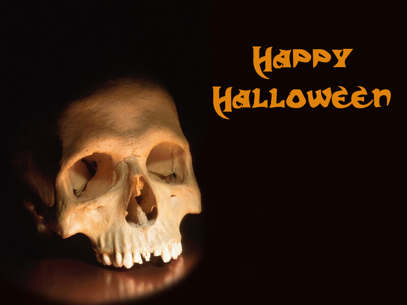 Human Skull on Dark Surface