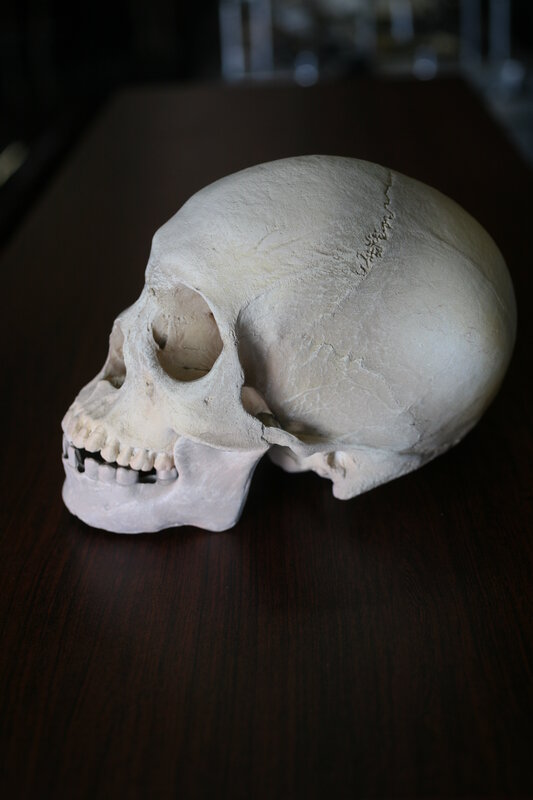 Human skull on wooden table