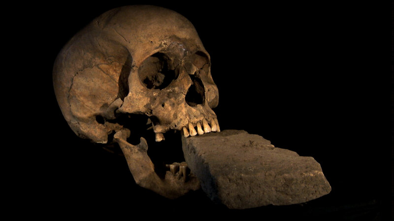 Human Skull with Stone