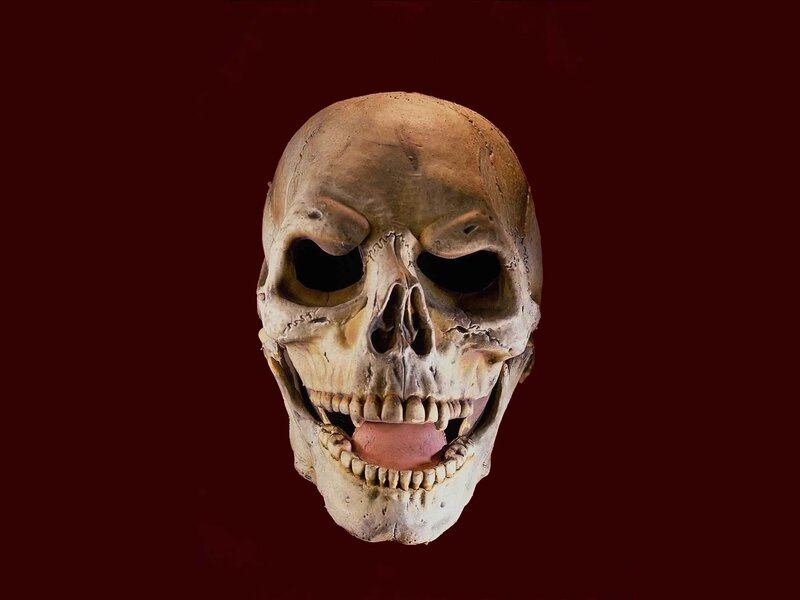Human Skull with Tongue