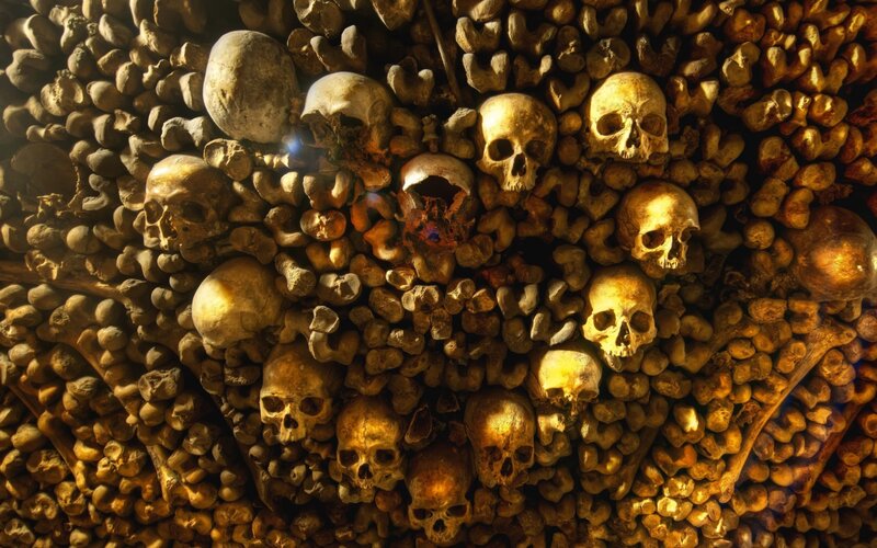Human Skulls and Bones — Brown, Dramatic