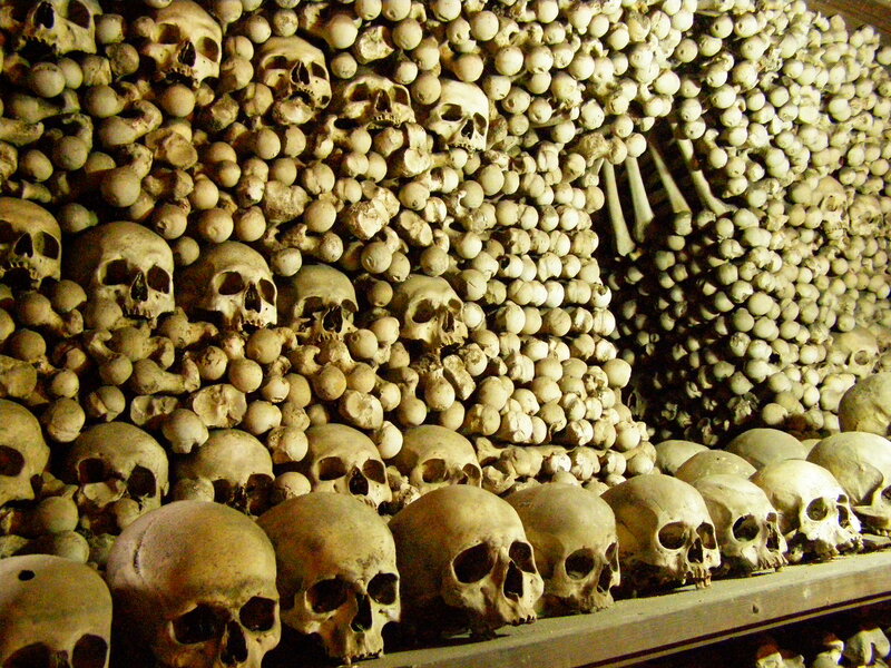 Human Skulls and Bones — Brown, Macabre