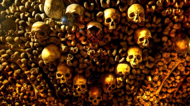 Human Skulls and Bones — Brown