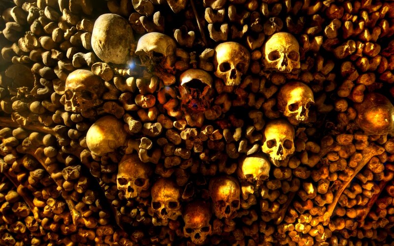Human Skulls and Bones