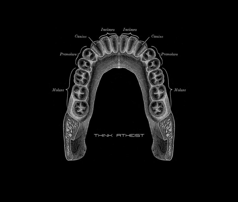 Human teeth diagram