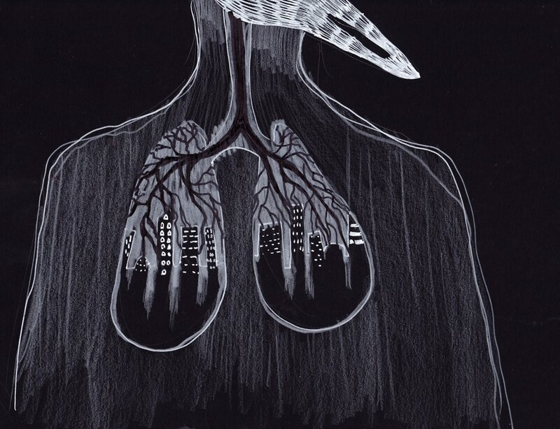 Human Torso with Lungs