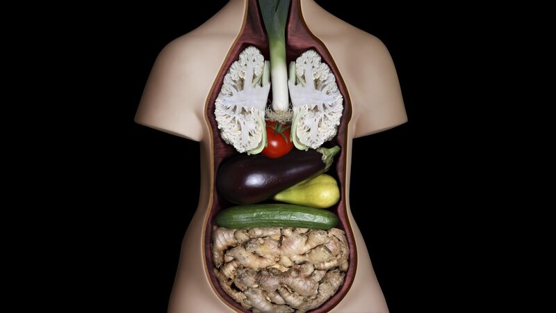 Human Torso with Vegetables