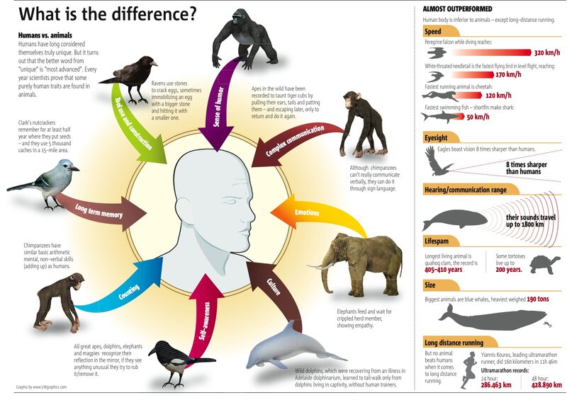 Human vs Animal Abilities