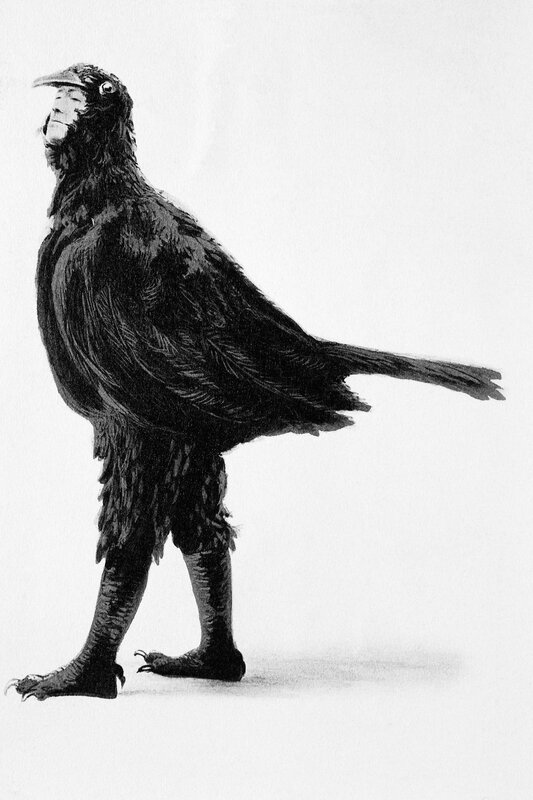 humanoid bird creature