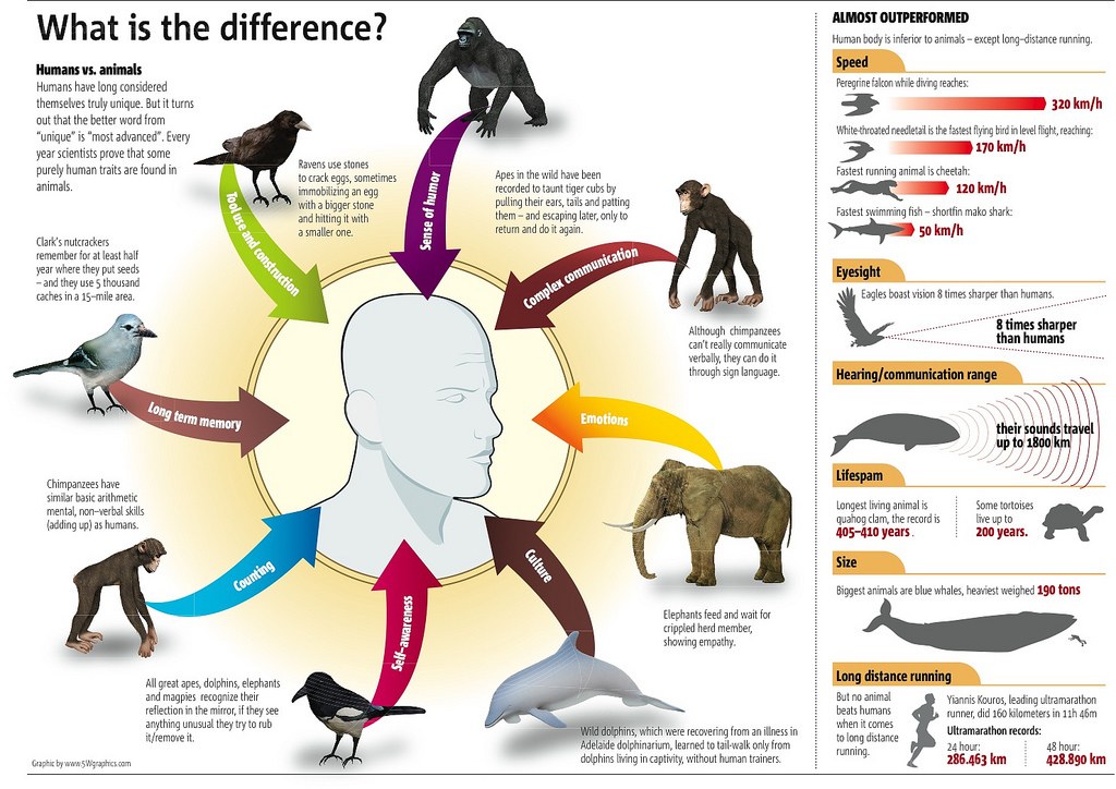 Humans vs Animals Comparison