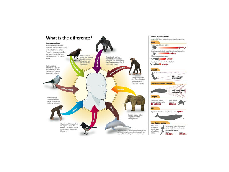Humans vs Animals Infographic