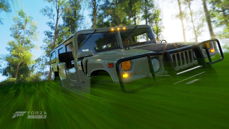Hummer in Forest