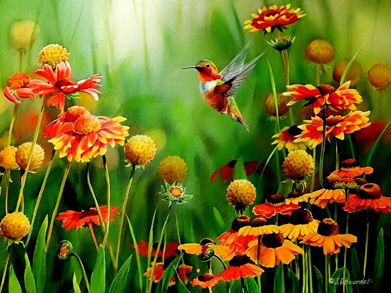 Hummingbird Among Flowers — Green, Serene