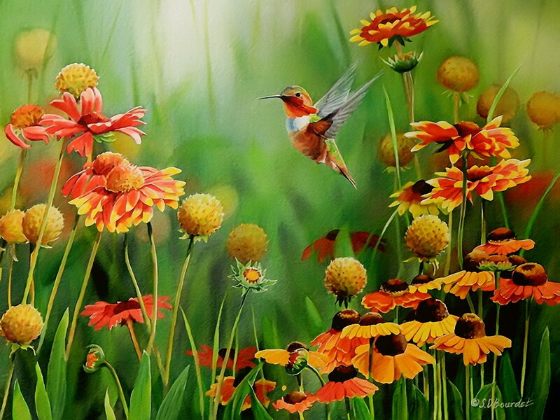 Hummingbird Among Flowers — Green