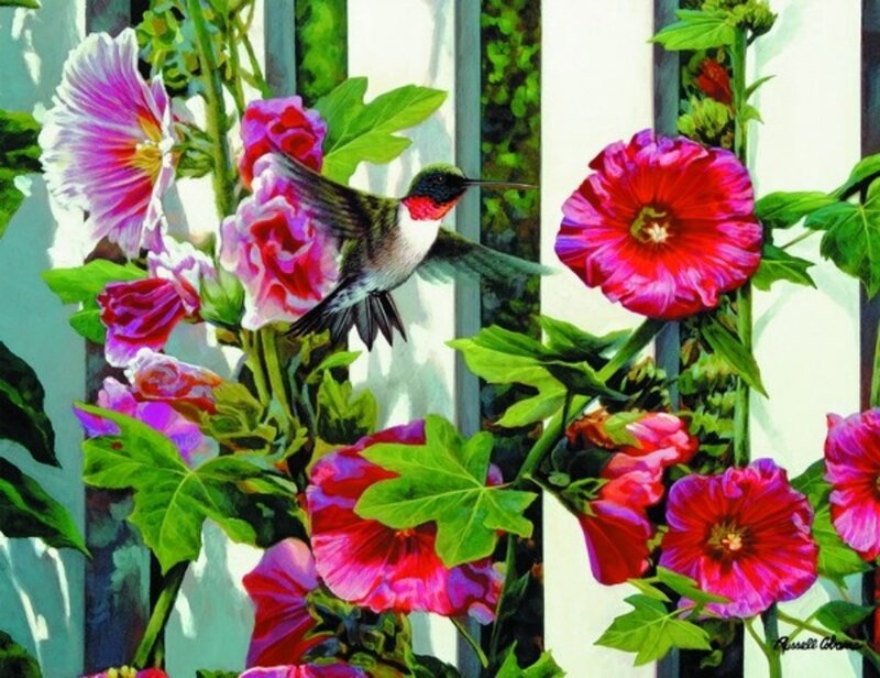 Hummingbird Among Flowers
