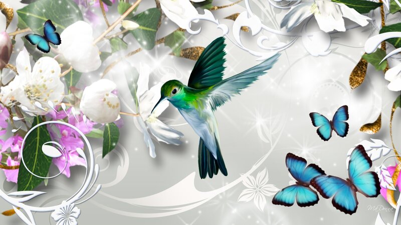 Hummingbird and Butterflies