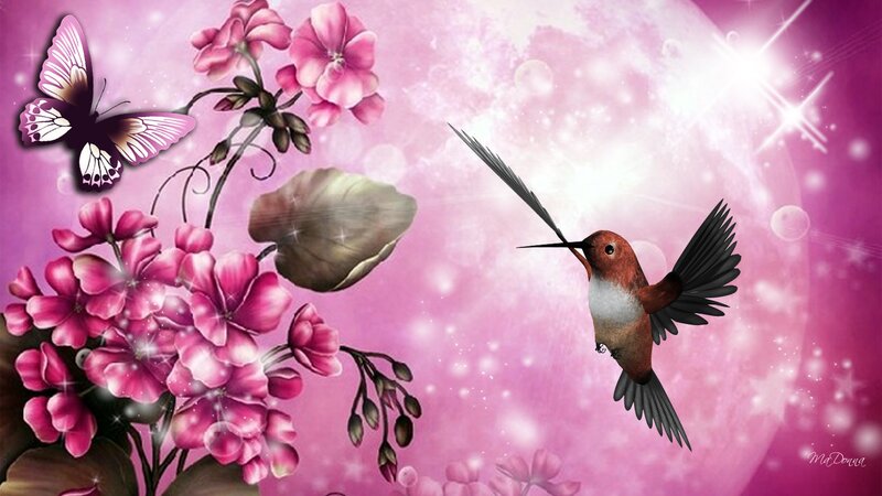Hummingbird and Butterfly