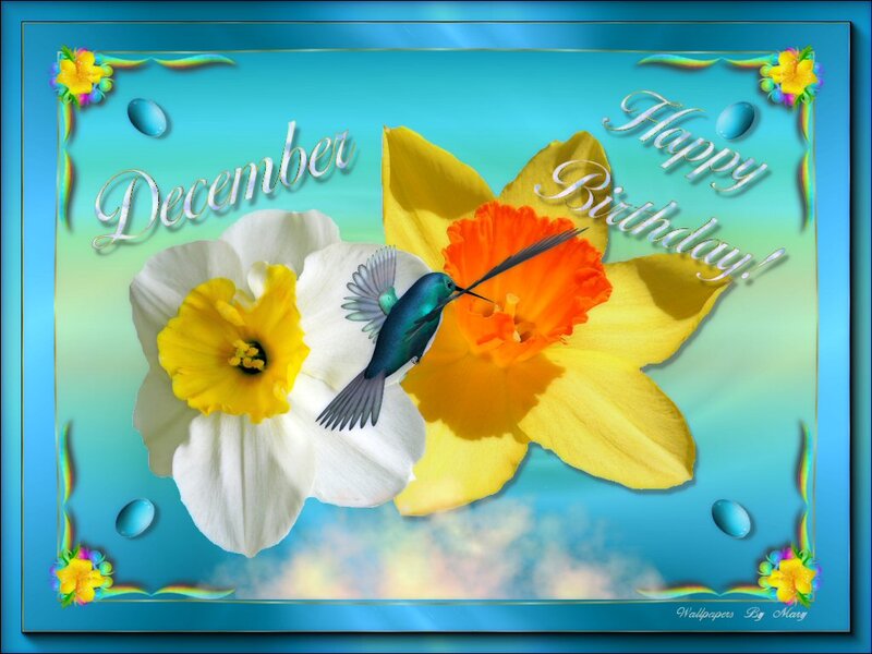 Hummingbird and Daffodils