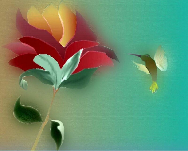 Hummingbird and flower illustration
