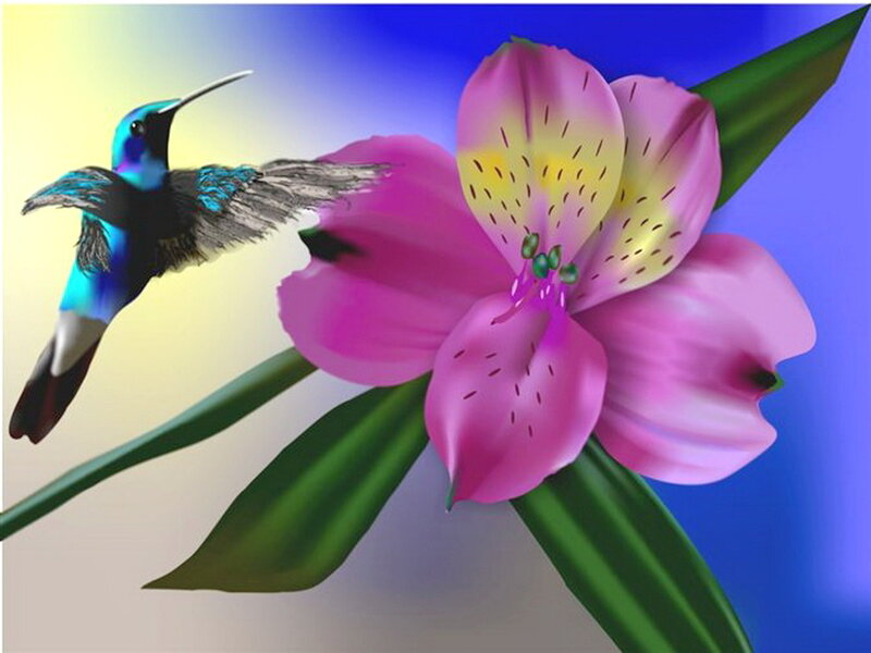 Hummingbird and Flower — Pink, Serene