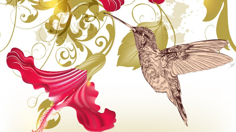 Hummingbird and Flower — Red