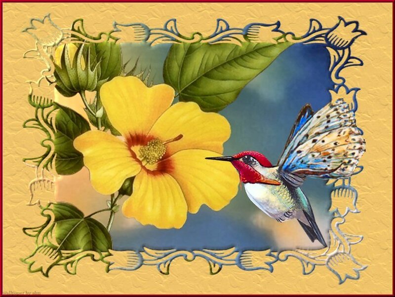 Hummingbird and Flower