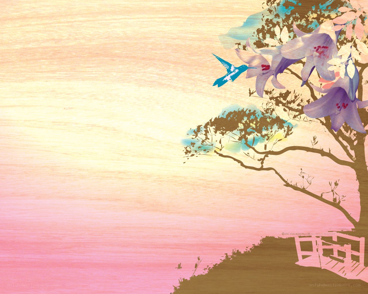 hummingbird and flowers at sunset