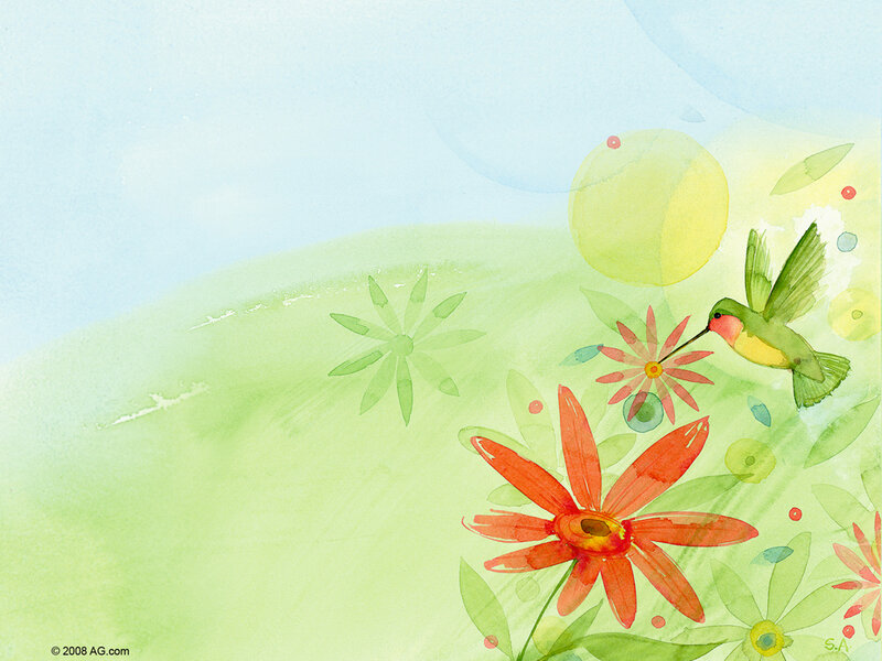 Hummingbird and flowers in garden