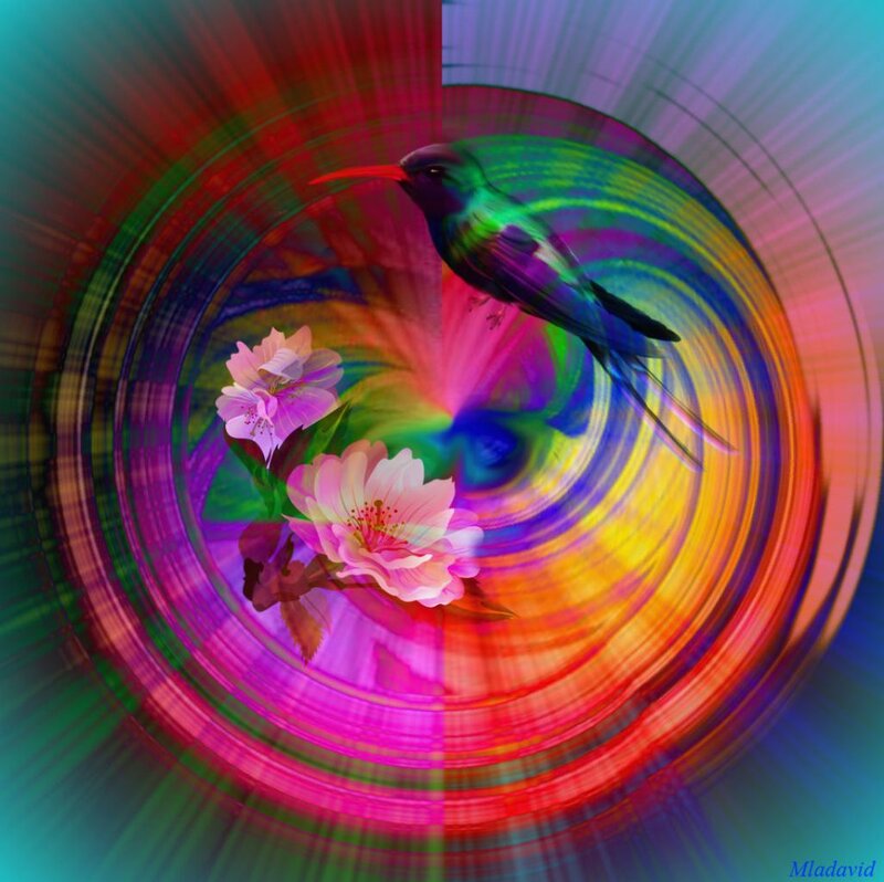 Hummingbird and Flowers — Pink
