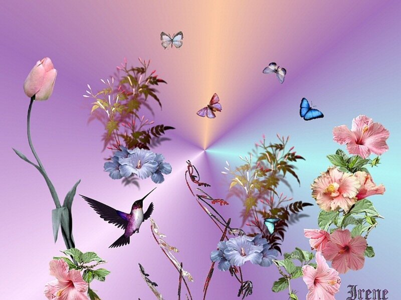 Hummingbird and Flowers