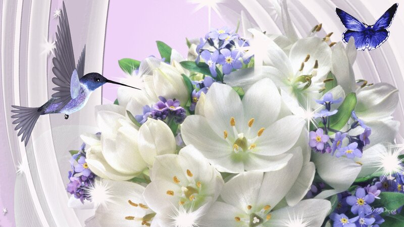 Hummingbird and Flowers — White