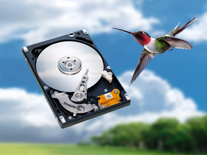 Hummingbird and Hard Drive