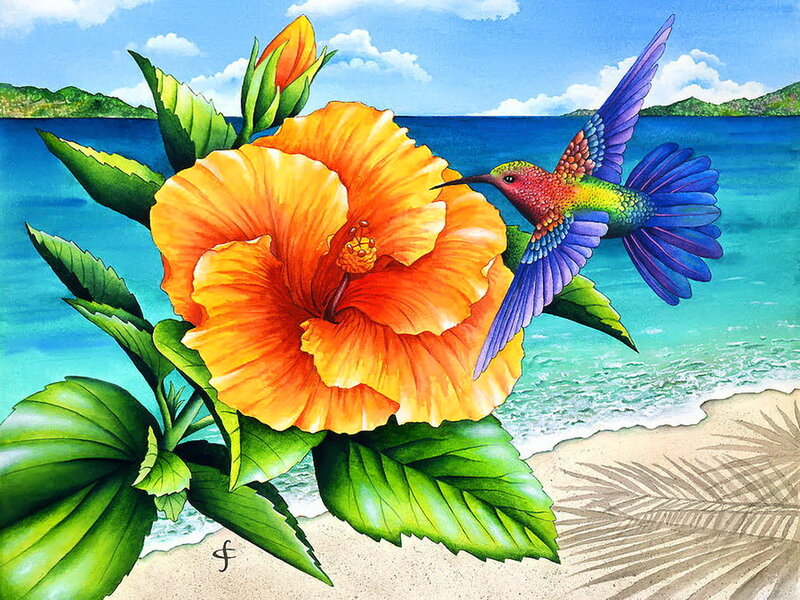 Hummingbird and Hibiscus