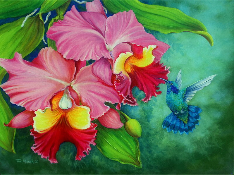 Hummingbird and Orchids