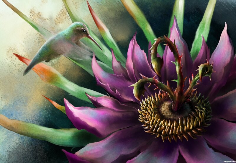 Hummingbird and Purple Flower