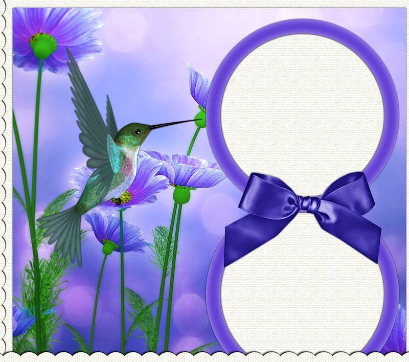 Hummingbird and Purple Flowers