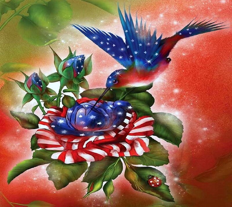 Hummingbird and Rose — Red
