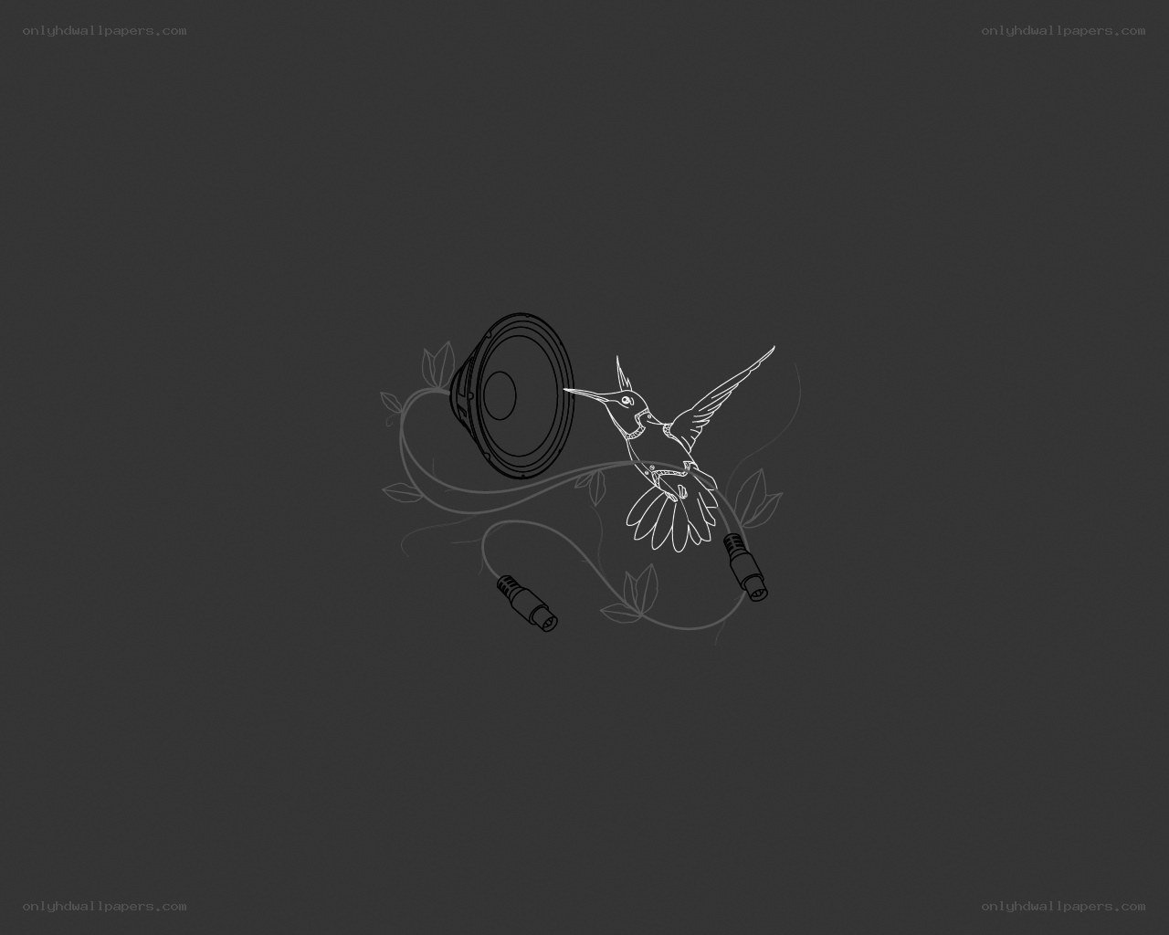 hummingbird and speaker design