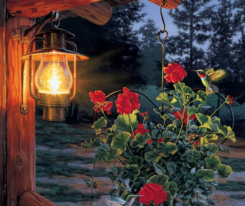 Hummingbird at lantern light