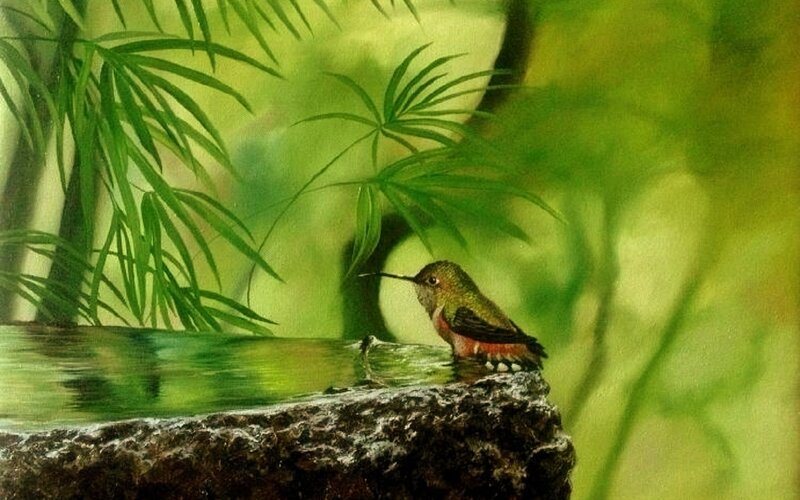 Hummingbird at Water