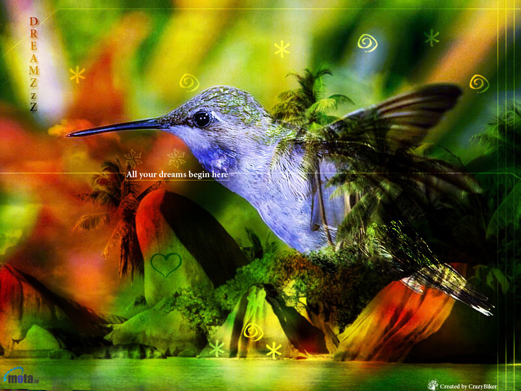Hummingbird dreamscape