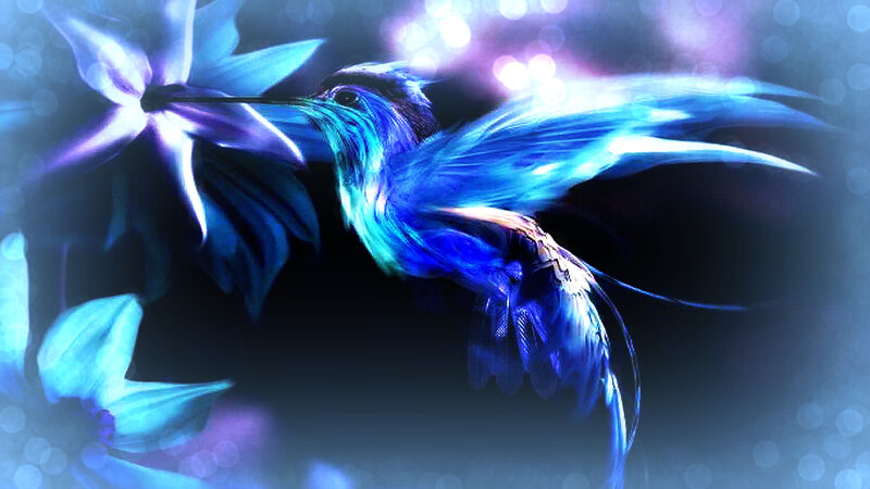 Hummingbird Feeding — Blue, Dreamy, Night